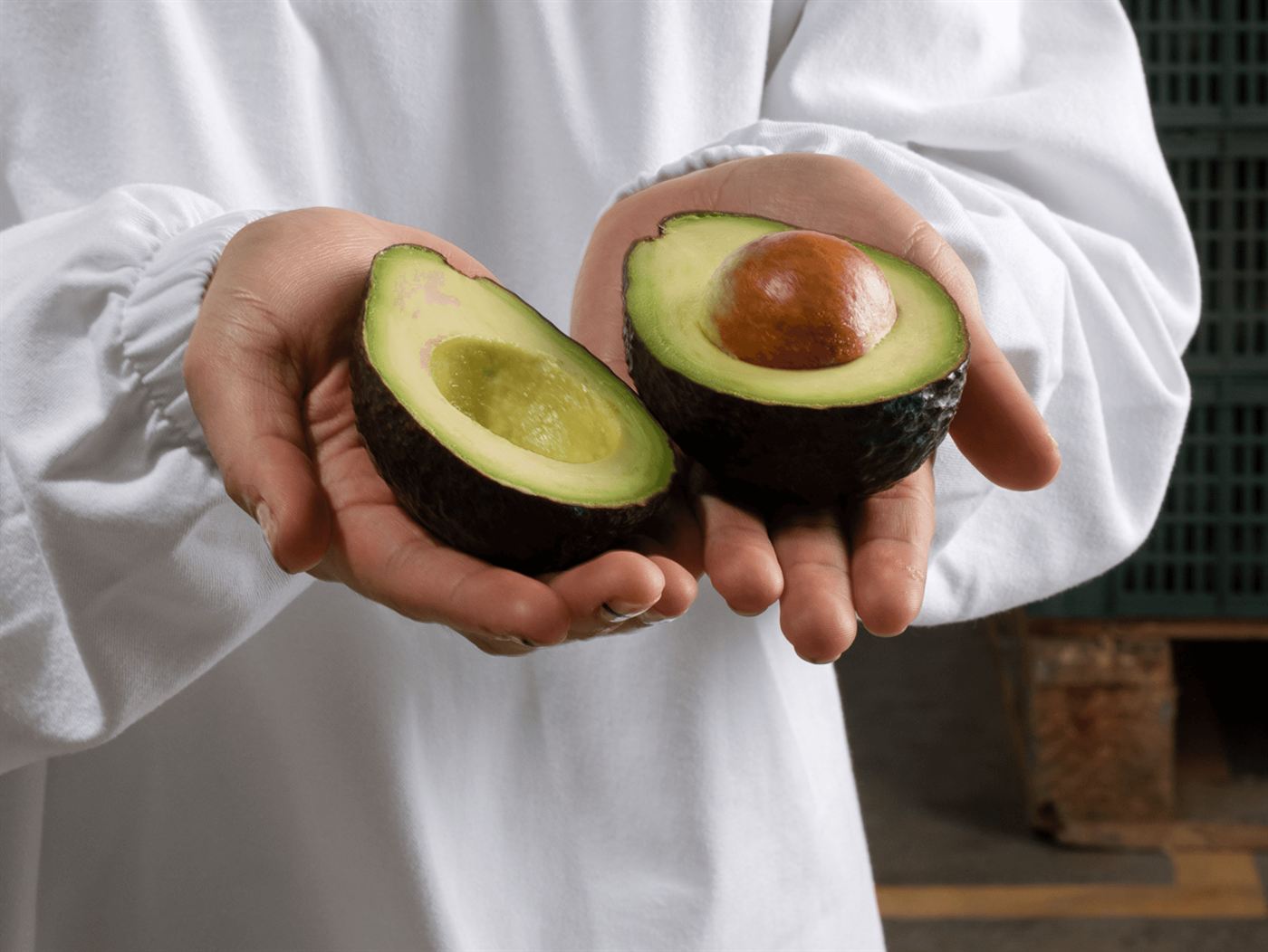 Two open halves of a Hass avocado held in both hands