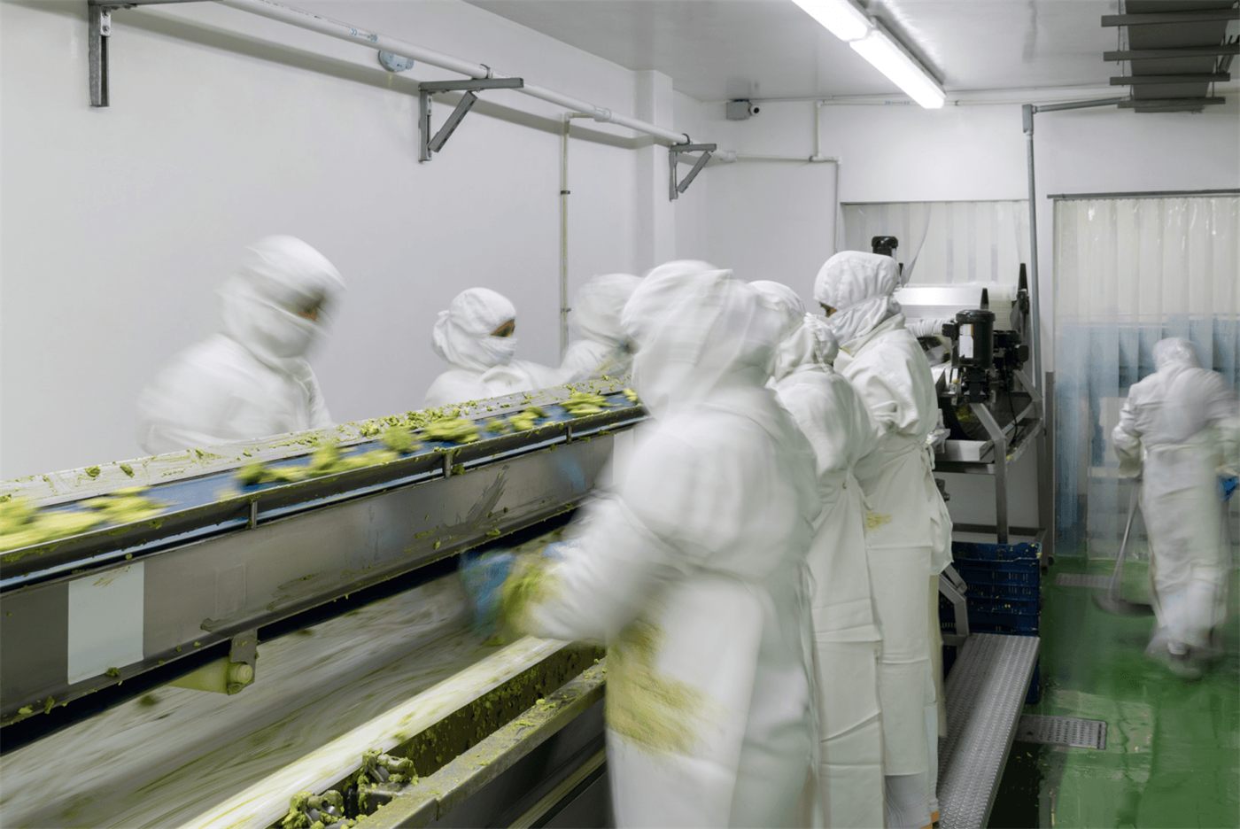 A line of workers in full whites along the processing plant conveyor