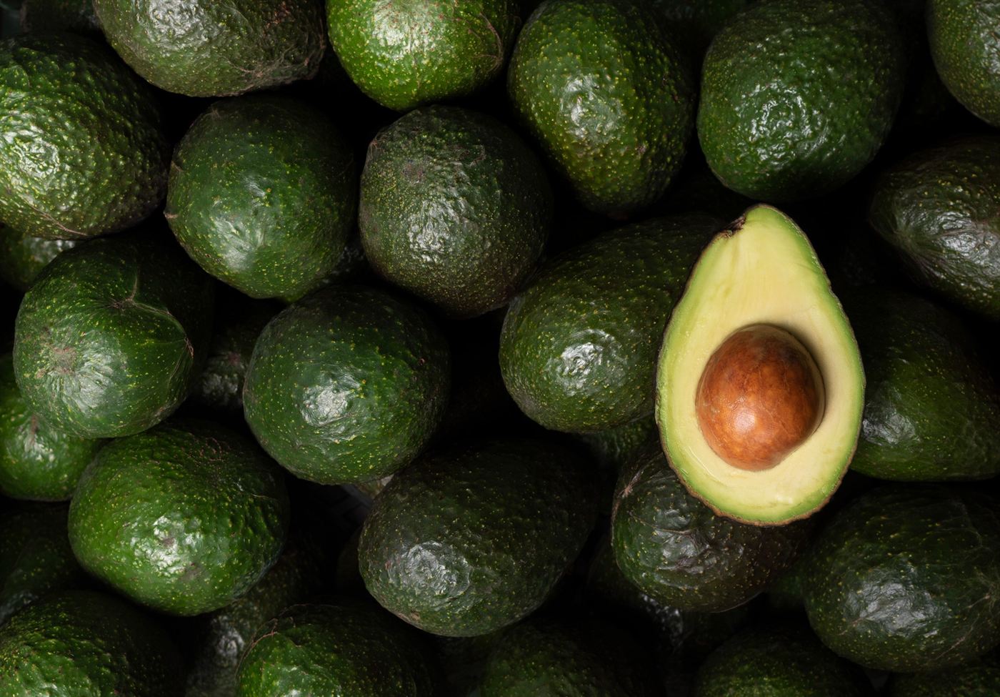 A bed of Hass avocados with a single one cut open, stone still in place